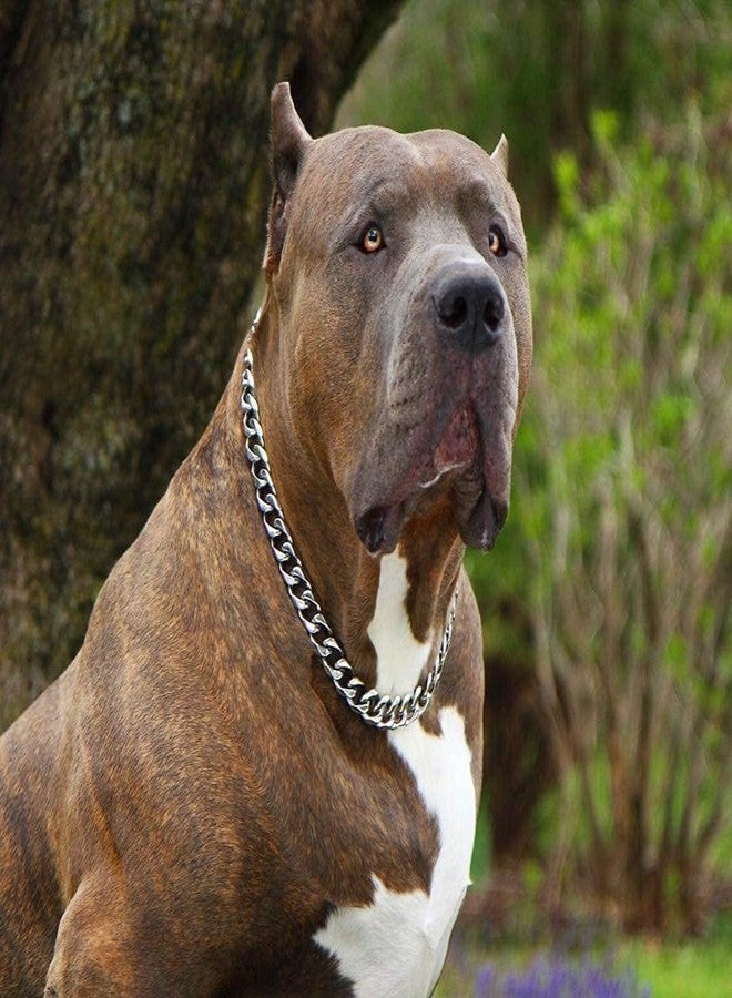 KsPups سلسلة خنق شديدة التحمل من KsPups - 5 مم، حلقات معدنية فولاذية فائقة القوة للسلالات الكبيرة - روت وايلر، بيتبول، ماستيف، كان كورسو، دوبرمان، كلب الدانماركي الضخم (30 بوصة، مقاس كبير جدًا) للسلالات العملاقة فقط - Image 1
